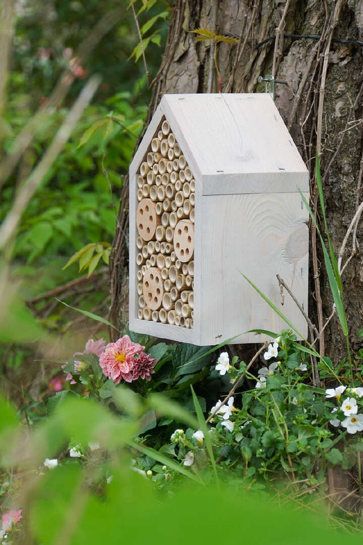 PATKAR Insektenhotel